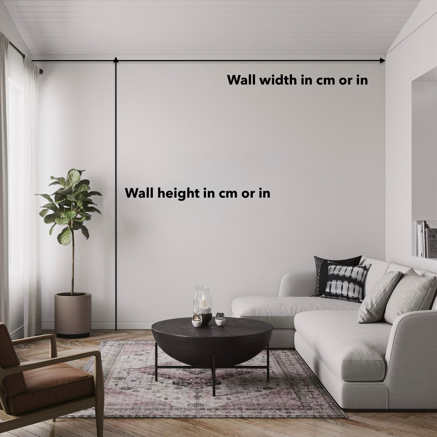 Living room with a sofa, coffee table, and plant, measuring wall dimensions.